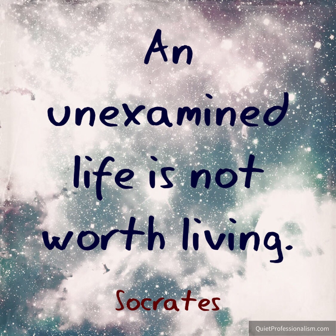 Unexamined Life — Socrates - Quiet Professionalism